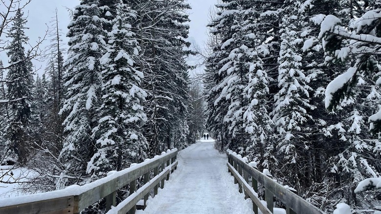 A view of the walking path in downtown Canmore, Alberta