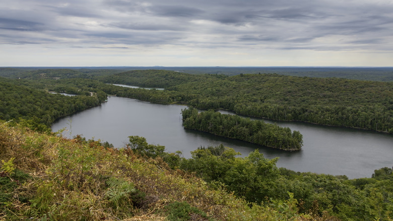 Elliot Lake, Ontario, surrounded by lush trees