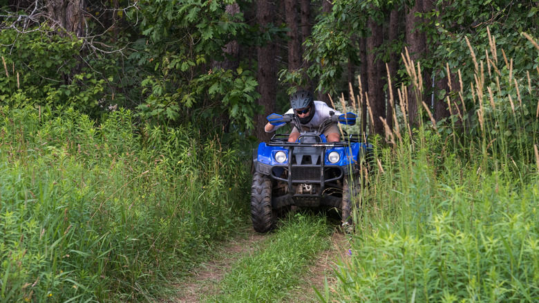 ATV on forest trail
