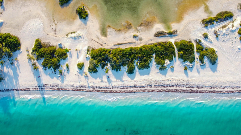 White sand beach of Isla Blanca