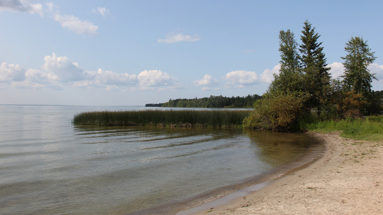 View of a sandy cove on Candle Lake, Canada