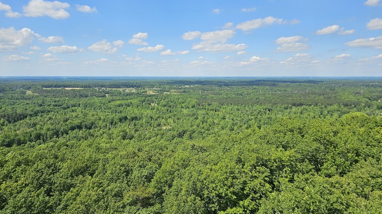 An aerial view over the wooded hills in Cane Creek Mountains Natural Area in the Cane Creek Mountains of North Carolina