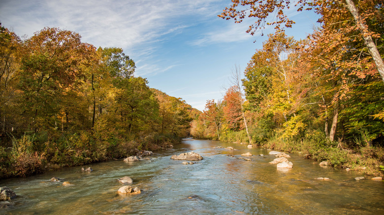 Creek in Ouachita National Forest, surrounded by browning trees.