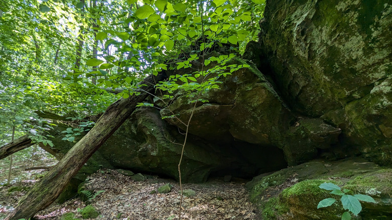 Canyon view with rocks in Canyon Forest Nature Preserve