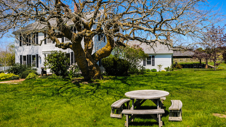 The grounds at the picturesque Truro Vineyards of Cape Cod