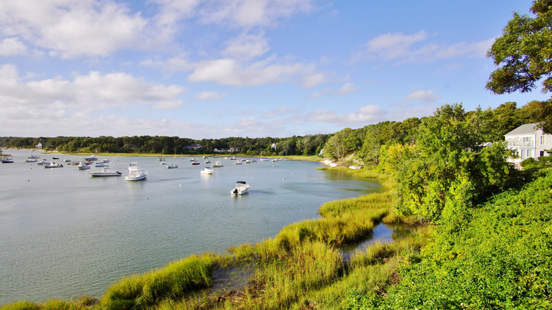Pleasant Bay view from the resort