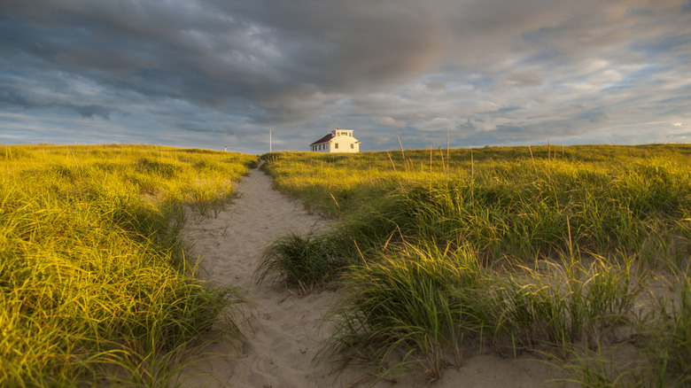 Trail through dune grass toward white cottage