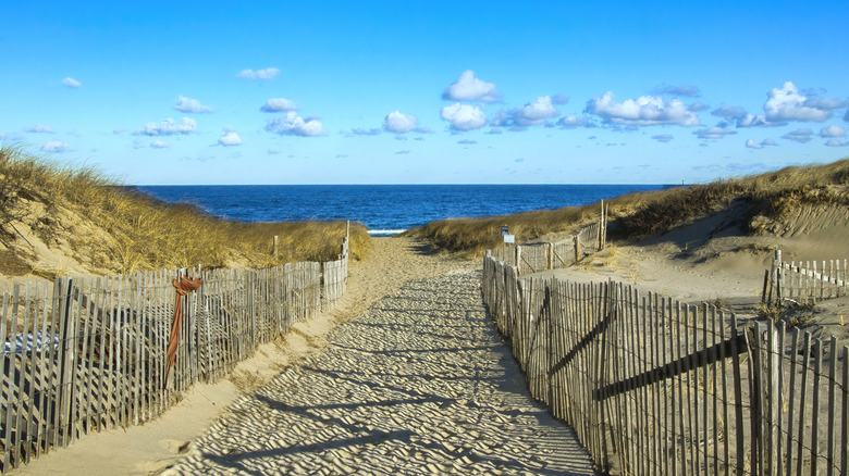 Fenced path between sand dunes leads to Atlantic Ocean