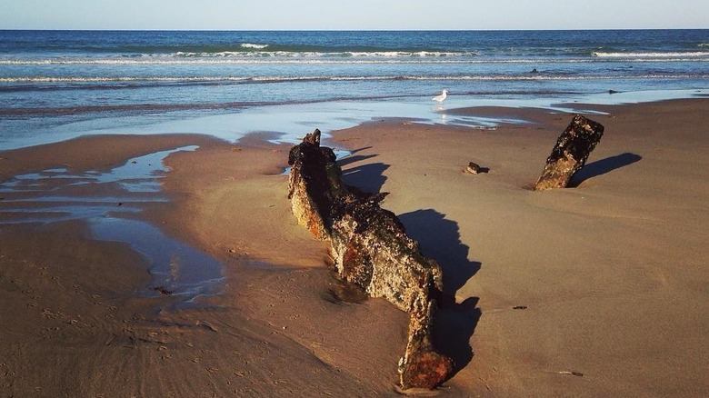 Wreck of The Frances, its top just visible in Head of the Meadow Beach
