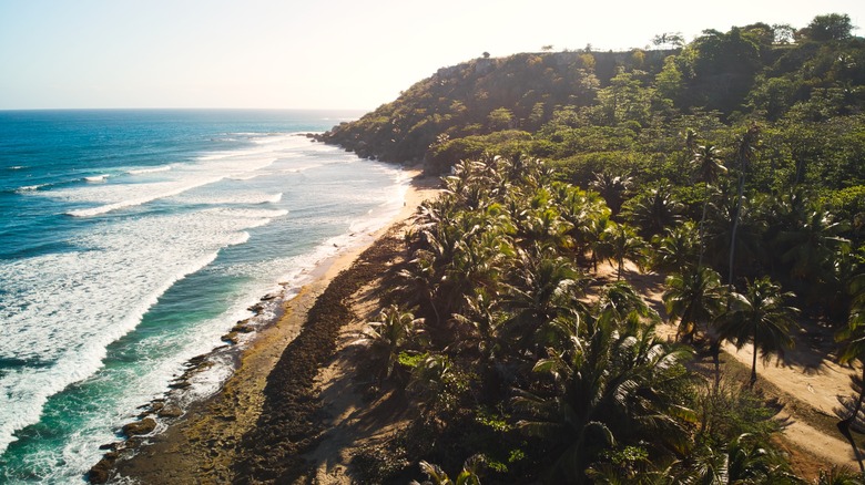The coastline by Aguadilla