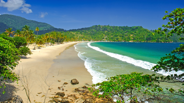 The curving Maracas Bay, Trinidad