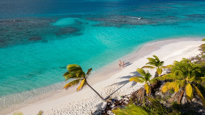 Beautiful beach in the Caribbean