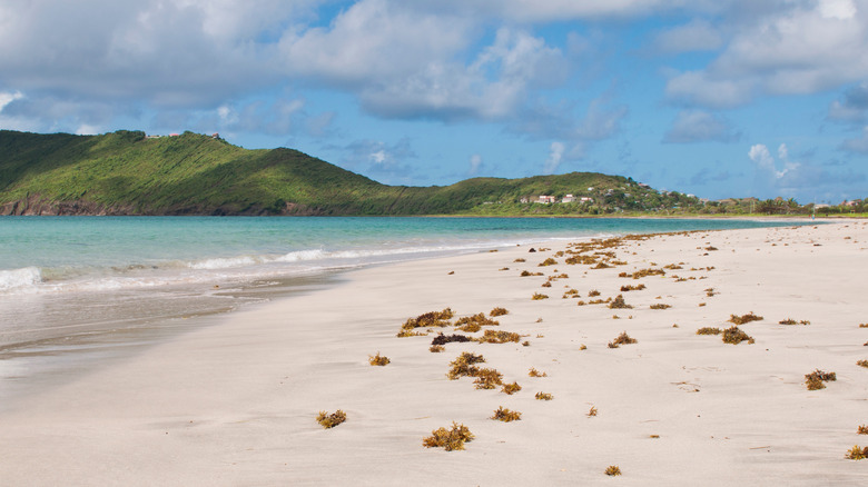Beach at Vieux Fort