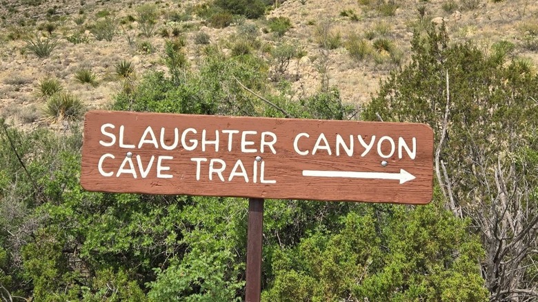 A brown trail sign reads "Slaughter Canyon Cave Trail."