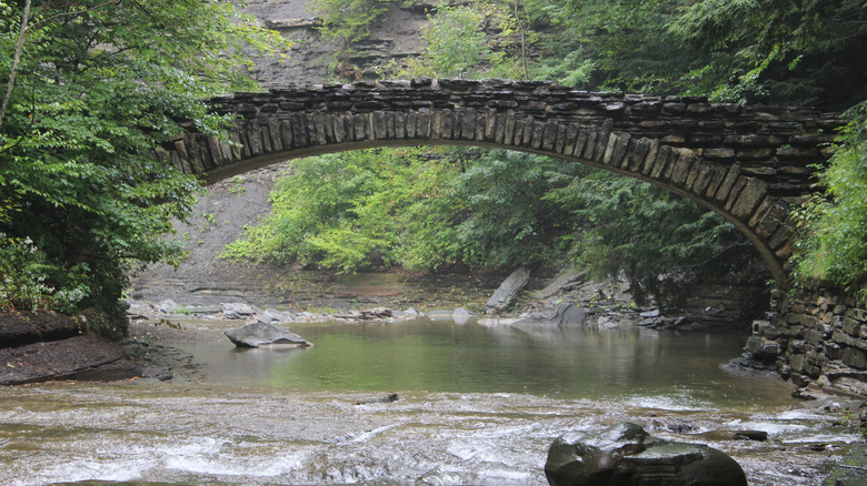 Bridge in Stony Brook State Park