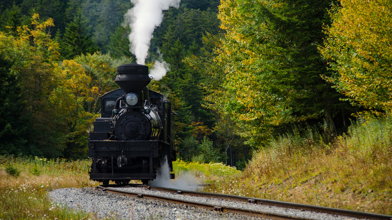 The Cass Scenic Railroad in Cass, West Virginia