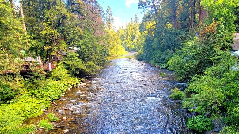 Sweetbriar Falls in Castella, California