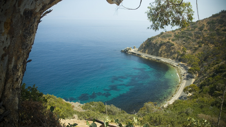 Aerial view of Lover's Cove on Catalina Island
