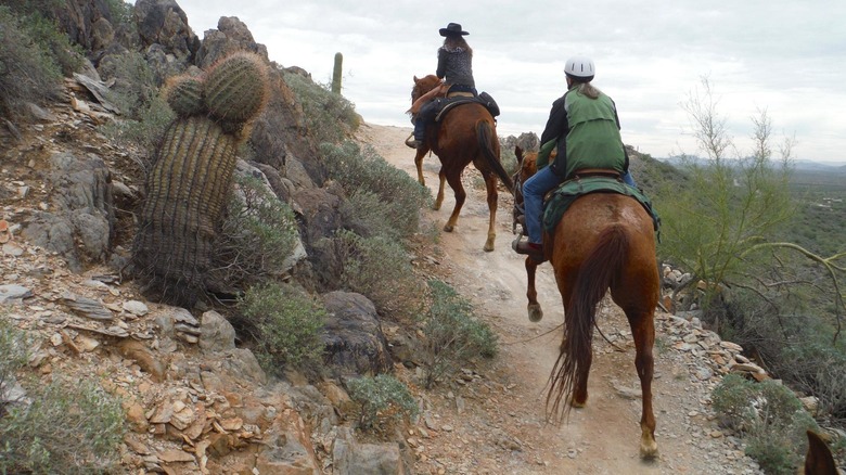 Horseback riding in Cave Creek Regional Park