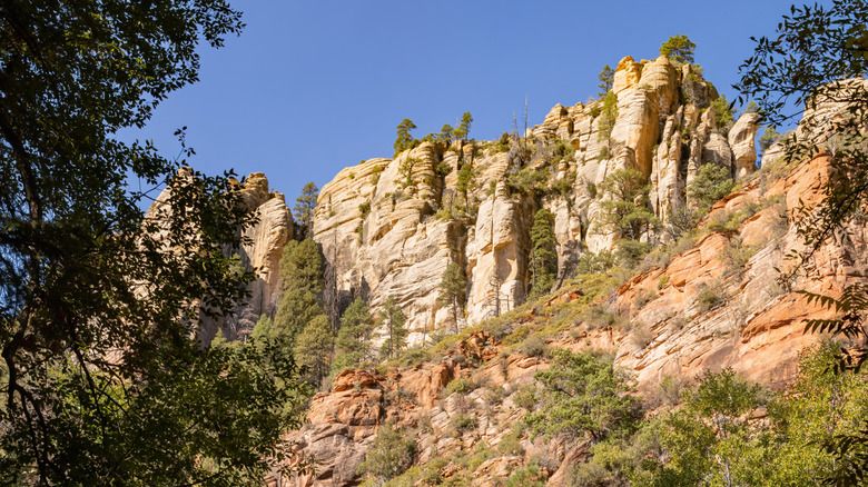 View of mountain peaks from Cave Springs Campground