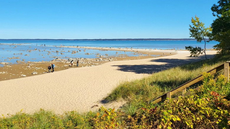 Sandy shore with greenery around Lake Leelanau near Cedar, Michigan