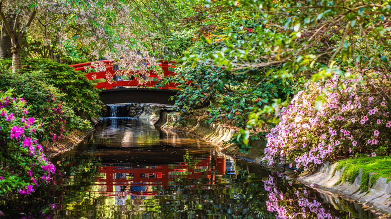 bridge in Descanso Gardens