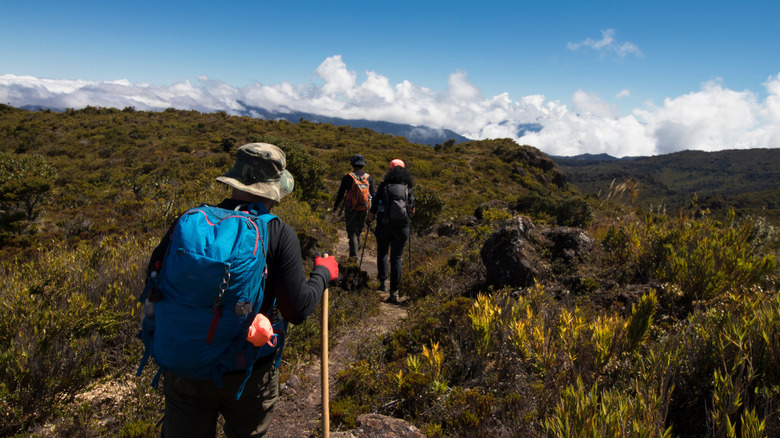 a group of hikers walking above the clouds in the mountains of Costa Rica