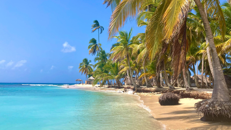 Sunny beach in Bocas del Toro, Panama