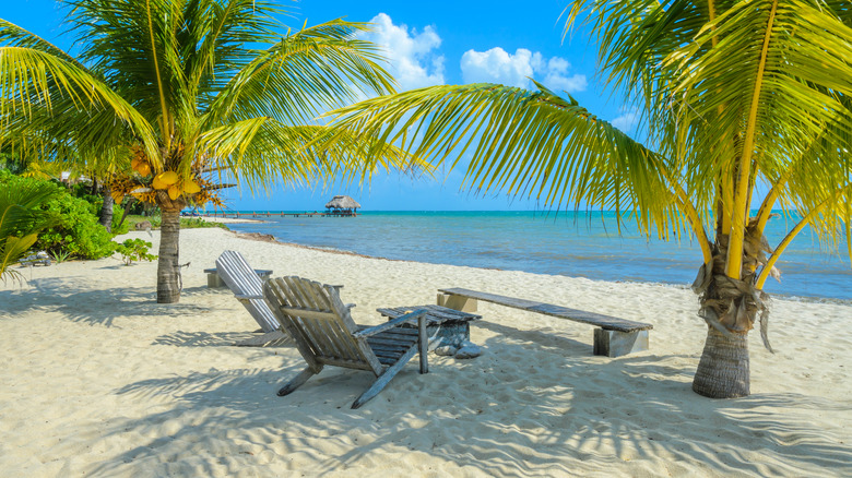 Reclining wood chairs stand on a sunny beach in Placencia, Belize