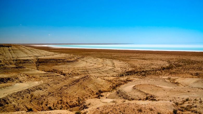 Barsakelmes Nature Reserve and Aral seabed