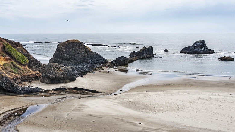 A line of sea stacks shore up the south end of the beach at Seal Rock Beach in Oregon