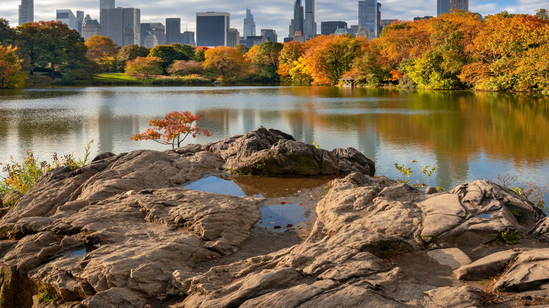 New York's Upper West Side borders Central Park