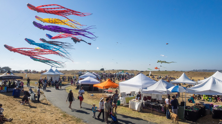 Giant kites fly in the sky at the annual kite festival in Cesar Chavez Park