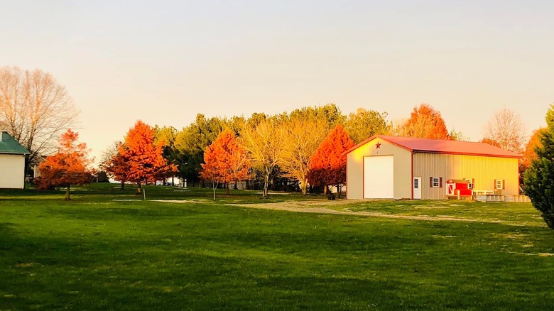 The fall foliage in Charlestown outside of a resident's window