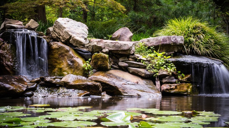The ponds and water features at the UNC Charlotte Botantical Gardens