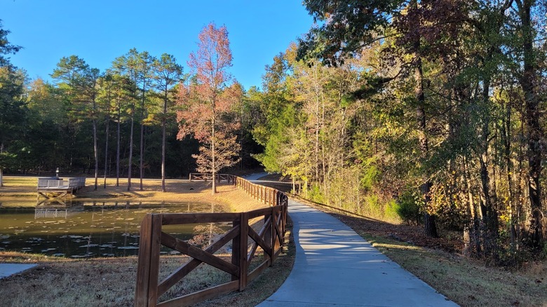 Boardwalk through woodland area in Pharr Mill Park