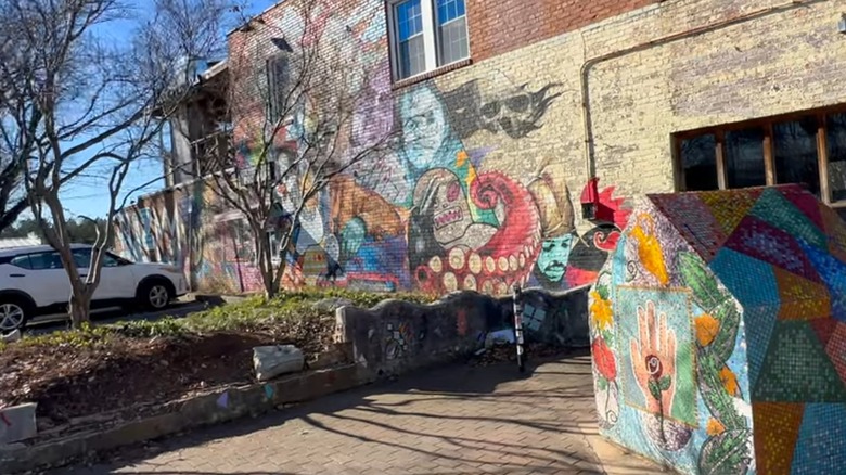 Murals in Plaza Midwood, North Carolina
