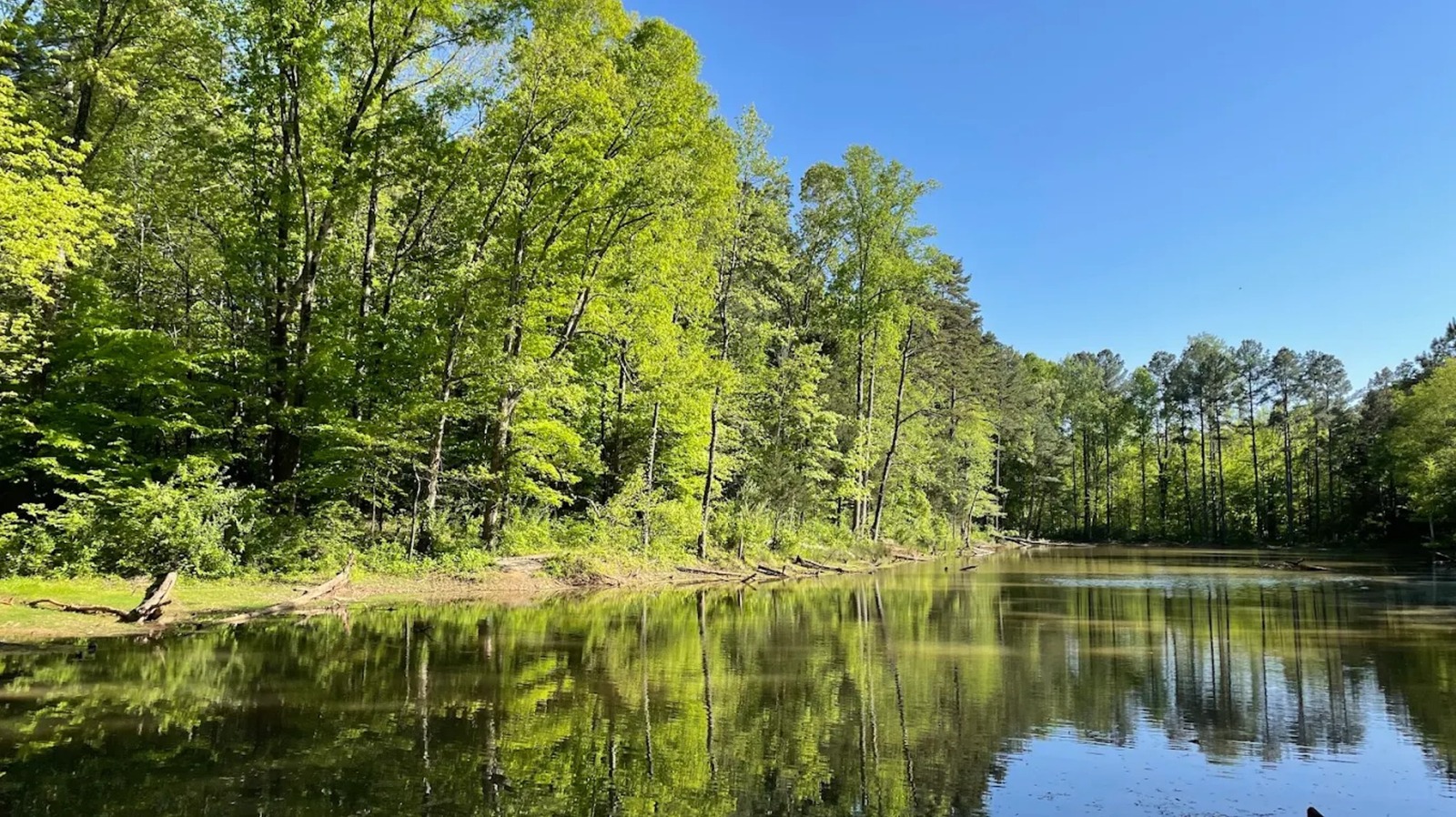 Charlotte's Underrated Urban Gem Is A Hidden Nature Preserve With A Wetland Bog And Scenic Trails - Islands