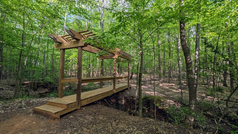 Short bridge surrounded by trees at the RibbonWalk Nature Preserve in Charlotte
