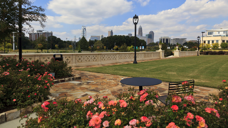 Flowers and table in Little Sugar Creek Greenway, with Charlotte skyline in background