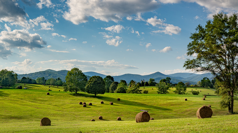 Rural landscape around Charlottesville, Virginia