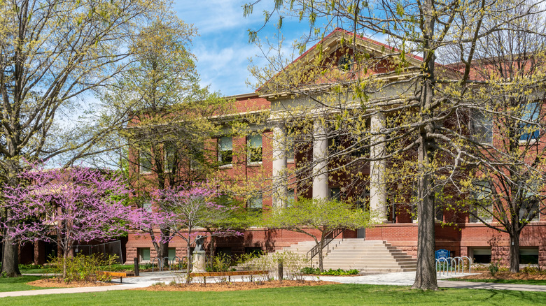 Northfield's college campus surrounded by greenery and blossoming pink flowers on trees