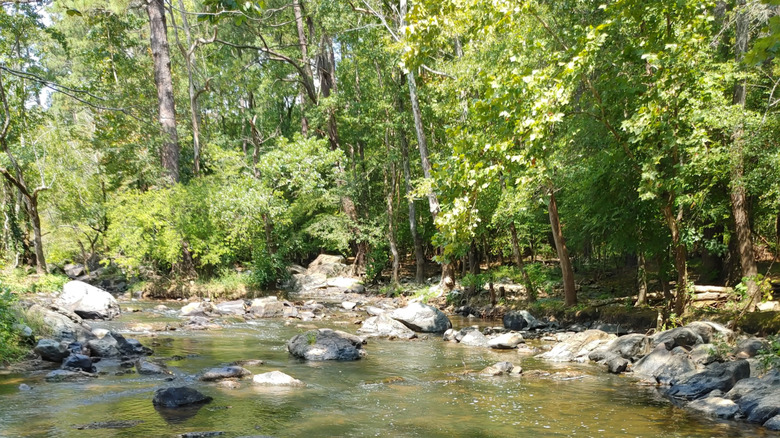 Lower Haw River Trail, Pittsboro, North Carolina