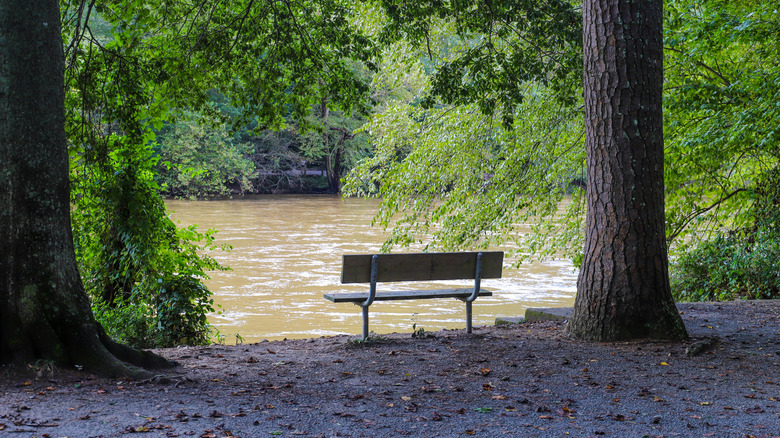 A bench sits at the shoreline in a heavily wooded area along the Chattahoochee River in Georgia.