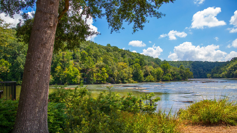 Views of the Chattahoochee River in Georgia framed by a grassy shoreline and lush greenery in the distance.