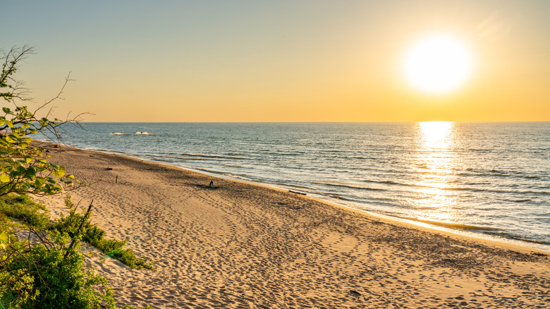 Sun shining at Indiana Dunes National Park