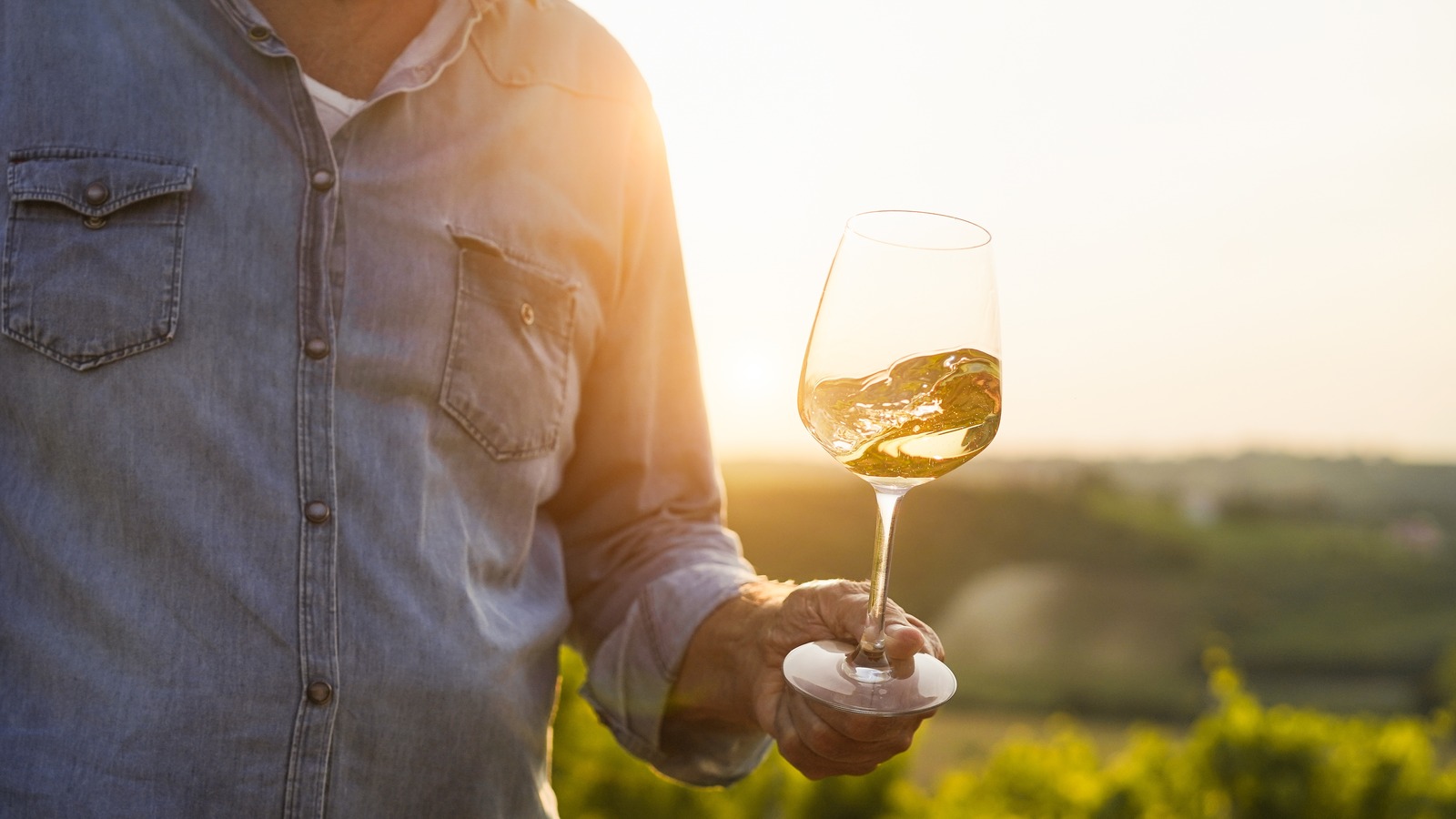 'Chianti In The Carolinas' Is A Vineyard Offering A Stunning Piece Of Tuscany In America