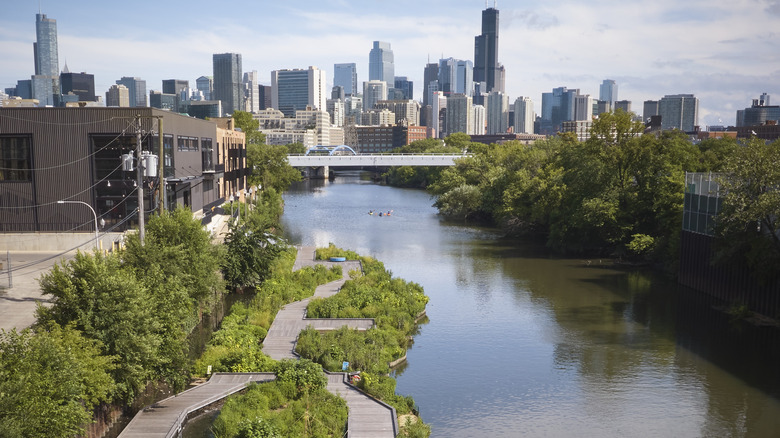 Wide view of Wild Mile on the Chicago canal with the city skyline in the background