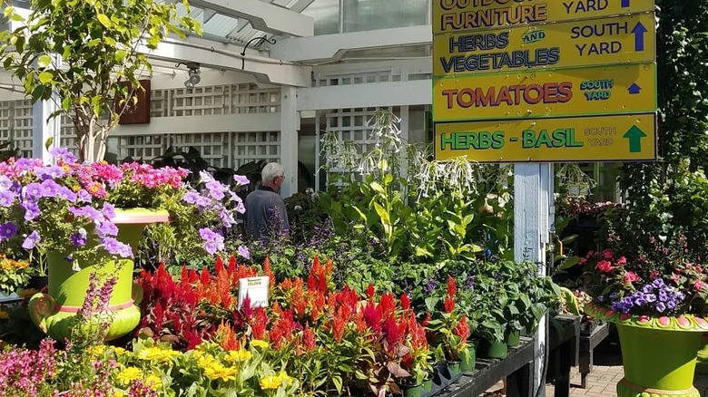 Inside Gethsemane Garden Center with flowers and a signpost