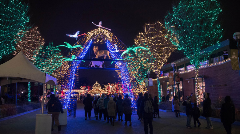 A light display at Lincoln Park Zoo